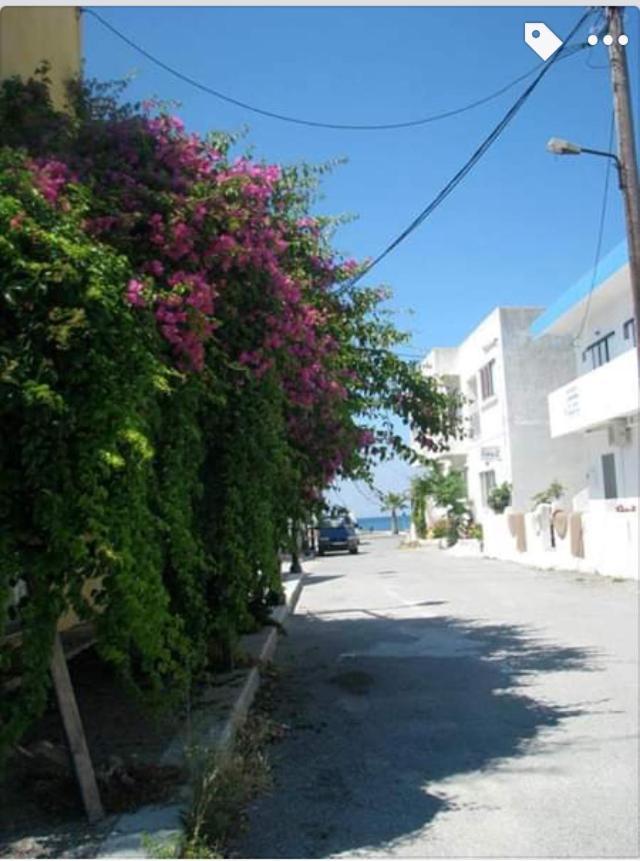 Sea Breeze 2 Apartments Mastichari  Dış mekan fotoğraf