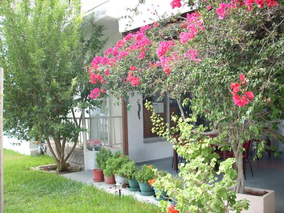 Sea Breeze 2 Apartments Mastichari  Dış mekan fotoğraf